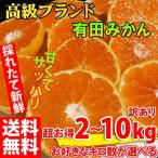 みかん 2kg~10kg 訳あり ブランド 和歌山 有田みかん ありだみかん 農家直送 ギフト お歳暮 温州みかん フルーツ 果物