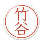 Yahoo! Yahoo!ショッピング(ヤフー ショッピング)名字はんこ缶バッジ 【竹谷】 ミラー（鏡）タイプ