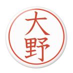 Yahoo! Yahoo!ショッピング(ヤフー ショッピング)名字はんこ缶バッジ 【大野】 ピンズタイプ