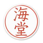 Yahoo! Yahoo!ショッピング(ヤフー ショッピング)名字はんこ缶バッジ 【海堂】 ボールチェーンタイプ