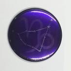 Yahoo! Yahoo!ショッピング(ヤフー ショッピング)きらきら12星座缶バッジ 【山羊座】 マグネット（磁石）タイプ