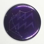 Yahoo! Yahoo!ショッピング(ヤフー ショッピング)きらきら12星座缶バッジ 【水瓶座】 イヤホンジャックタイプ