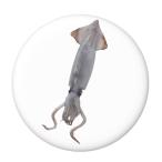 Yahoo! Yahoo!ショッピング(ヤフー ショッピング)海の幸缶バッジ 【いか】 チャームタイプ