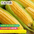 たねの森 トウモロコシ ゴールデン