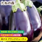 有効期限超過の為 値�