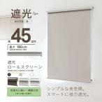  затемнение показатель 99.99% затемнение roll screen [ ширина 45cm] Cafe цвет [RK-45-IV] шторы занавески окно затемнение 