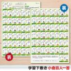 ショッピング下敷き 下敷き 小倉百人一首 A4 (21×29.7cm) 角丸・両面タイプ 書きやすい 行事 大会 カルタ 正月