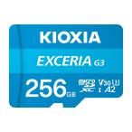 microSDXC карта памяти ki ok siaKMU-C256G [256GB]