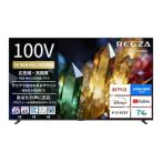 REGZA 液晶テレビ 100ZX3S