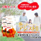 歩っぷアシストII×6箱セット[非...