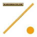  солнечный Ford Charisma цвет цветные карандаши PC1003 Spanish Orangespanishu orange (SANFORD KARISMA COLOR)