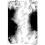 IC( I si-) экран S-3039 код 40203039