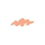  солнечный Ford Charisma цвет цветные карандаши PC1001 Salmon Pink salmon розовый (SANFORD KARISMA COLOR)