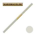  солнечный Ford Charisma цвет цветные карандаши PC1051 Warm Grey 20% теплый серый 20% (SANFORD KARISMA COLOR)