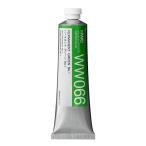  ho ru Bay n прозрачный акварель краситель 60ml WW066 перманентный зеленый No.1