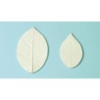 504 роза лист .( солнечный промышленность * старый день Kiyoshi Associe itsu)