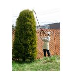 高枝剪定刈込鋏(首振りタイプ) 五十