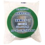 パイオラン 養生テープ 緑 50mm×25m ダイヤテックス Y-09-GR