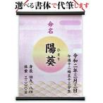  жизнь название настенный свиток жизнь название .. ось жизнь название документ / жизнь название бумага печать . плата кисть . 7 ночь заказ празднование рождения рождение память название inserting розовый [meimei-02]