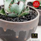 陶器鉢植木鉢6号丸型金彩ゴールド/...