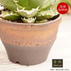 陶器鉢植木鉢4号丸中深型金彩ゴール...