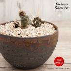 陶器鉢 植木鉢 5号 クレーターポット 中深丸 おしゃれ プランター 園芸鉢 信楽焼 かみ山陶器 観葉植物 アガベ サボテン 塊根植物 コーデックス 多肉植物 ポット