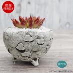 陶器鉢 植木鉢 ミニポット 底穴あり BUNGA POT エッグS (ホワイト/グレイ） φ10.5cm おしゃれ かわいい プランター 宝寿窯 有田焼 園芸鉢 観葉植物