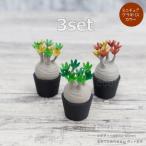 3D фигурка миниатюра 3 комплект цвет gla сверло spakipotium орнамент искусственная зелень . корень растения ko- Dex суккулентное растение LOBINDON