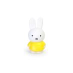 アトリエ ピエール ブルーナ ミッフィーマネーバンク S イエロー ATELIER PIERRE BRUNA MIFFY MONEY BANK S yellow / おしゃれ