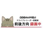 ドライブレコーダー ステッカー キジ猫  ネコ 猫ステッカー ドラレコ録画中 ドラREC 車 猫グッズ カーステッカー 車載 録画