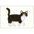米津祐介 ポストカード ハチワレねこ / 猫 ネコ イラスト はがき 絵本作家