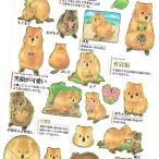 大人の図鑑シール クアッカワラビー / クオッカ 動物 金箔押し加工 カミオジャパン 手帳 デコ