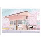 ta... весна рисунок открытка станция .. цветок видеть / симпатичный кошка кошка Sakura 4 сезон пейзаж открытка .. считая клей 