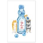 しばいぬとおいしい夏 ポストカード ラムネ / 可愛い 柴犬 夏柄 村田なつか はがき