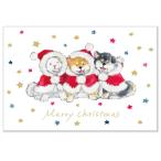 しばいぬとクリスマス ポストカード 3匹の子犬 / 可愛い 柴犬 村田なつか 箔押し はがき