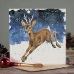 クリスマスカード Santa's Reindeer / トナカイ 封筒付き レンデール デザイン 英国製
