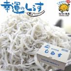 特上しらす干し300gパック2個小...