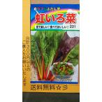 不断草の通販 価格比較 価格 Com