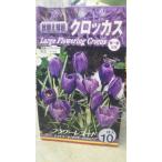クロッカスフラワーレコード球根１袋...