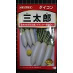 3 пакет и больше . купон скидка три Taro дайкон круглый год культивирование возможен san ...takii вид mail. бесплатная доставка 