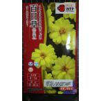 3 пакет и больше . купон скидка 100 день . Berry z двойной желтый jinia вид mail. бесплатная доставка 