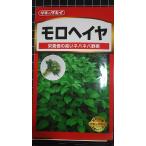 ３袋以上でクーポン割引 モロヘイヤ 種子 タキイ 種 