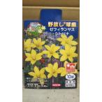 商品画像3