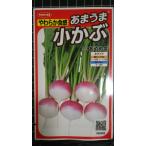 ３袋以上でクーポン割引 あまうま 小 かぶ あやめ雪 小かぶ コカブ 種 郵便は送料無料
