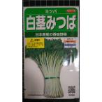 ３袋以上でクーポン割引 白茎 みつば 香味野菜 三つ葉
