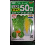３袋以上でクーポン割引 耐病 黄芯 白菜 タイニーシュ
