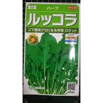 ３袋以上でクーポン割引 ルッコラ ロケット ゴマ 風味 ハーブ 種 郵便は送料無料