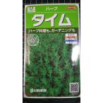 ３袋以上でクーポン割引 タイム タチジャコウソウ ハーブ 種 郵便は送料無料