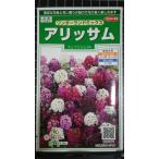 ３袋以上でクーポン割引 アリッサム ワンダーランド 