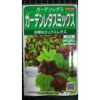 3 пакет и больше . купон скидка сад lettuce Mix вид mail. бесплатная доставка 
